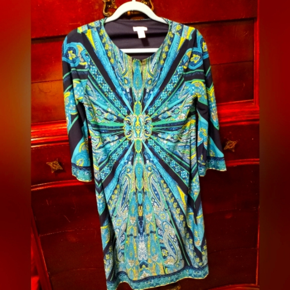 Chico spandex dress